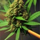 Sticky Icky Smoke Ride Single