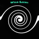 Wild Light Single
