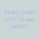 Beau si nu pot sa ma imbat Single