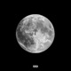 Moonlight Single