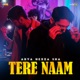 Tere Naam Single