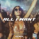 All I Want Lunatronic Remix Single