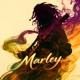 Marley Remix feat Aura T Single