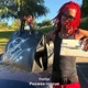Peewee roscoe Single