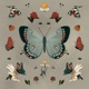 Butterfly Single