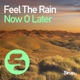 Feel the Rain Single