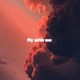 Fly With Me Single