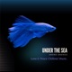 Under The Sea Single