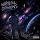 Wasteful Opinions Single