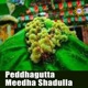 Peddhagutta Meedha Shadulla Single