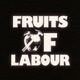Fruits of Labour Single