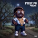 Pyrex Po Single