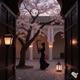 Sakura y Duende Single