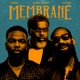 Membrane feat Larry Gaaga Phyno Single
