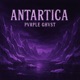 Antartica Single