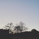 What We Longed For feat Chris Bartels EP