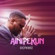 Ainipekun Single