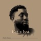Cat a lyst