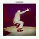 Schadenfreude Single