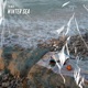 Winter Sea Single