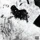 rockout Single
