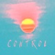 Control Single