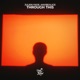 Through This feat maybealice Single