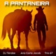 A Pantaneira Single