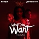 What You Want feat Pohzitive Single