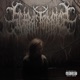 Hyphae Freak Single