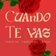 Cuando Te Vas feat Carmen Yruela IBN Itaka Single