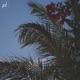 Summer Love Single