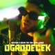 W moim ogrodecku T challabeatz Remix Single