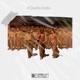 Il Quarto Stato feat Theo T Alome Single