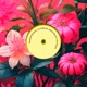 Hot House Single