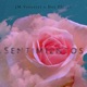 Sentimientos feat Des Flores Single