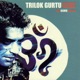 Izzat The Trilok Gurtu Remix Album
