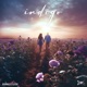 Indigo Single