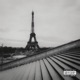 Excuse My French Single