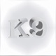 K9 feat Elijah Aike Single