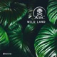 Wild Land Single