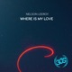 Where Is My Love Single