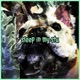 Sleep In My Stu feat 666Tsukasa Single