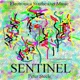Electronica Synthesizer Music Sentinel