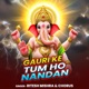 Gauri Ke Tum Ho Nandan Single