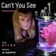 Can t You See feat Rycon Downbeat Remix Single
