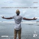 Fly Away feat Stephan Subero Single
