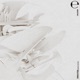 Calcium Single