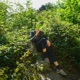 Shades feat Camille Camille Single