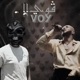 Voy feat Wegz Remix Single